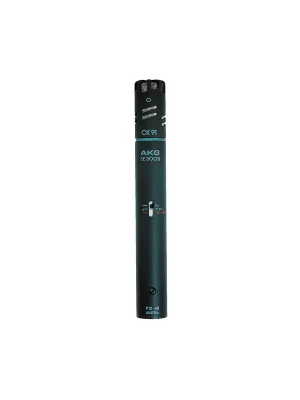 Jetzt zugreifen | AKG C 391 B Modulares Kondensator-Mikrofon