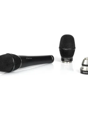 DPA DPA 4018V-B-B01 - Letzte Chance