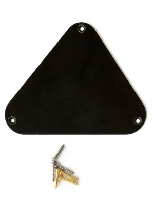 PRS Electronics Backplate (Santana, Zappa) | Wochenendangebot