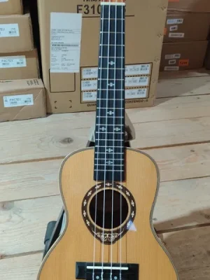 Ever Play UK-LA2-24 Concert Ukulele "B-Stock" - Neu gelistet