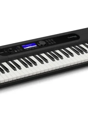Werkspreis | Casio CT-S400
