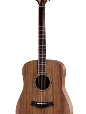 Schnelle Lieferung - Taylor BBT, Walnut/Walnut