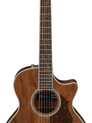 Deal | Ibanez AE245JR Natural + Bag