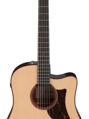 Ibanez AAD300CE-LGS - Vorteilspreis