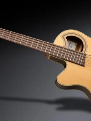 Rockbass Alien Deluxe Hybrid Thinline, Lefthand, 5-String - Natural Transparent Satin "B-Stock, optische Mäng | Neuheit