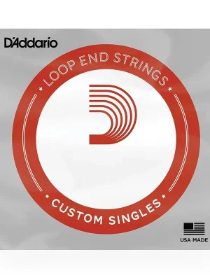 Versand noch heute | D‘addario LE040PB Einzelsaite, Schlaufenende, Phosphorbronze, .040