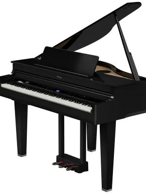 Hammerpreis | Roland GP-6-PE