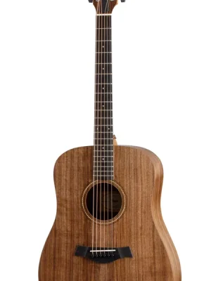 Taylor Academy 20e Walnut Top | Premium-Qualität