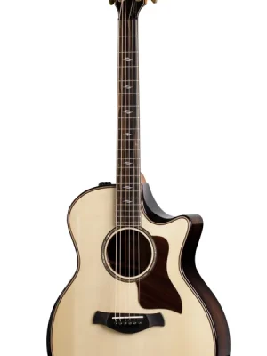 Taylor Builder‘s Edition 814ce | Extra-Rabatt
