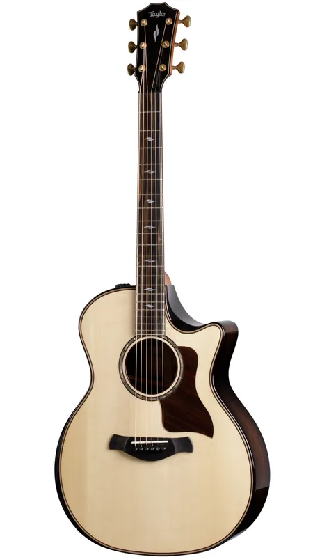 Taylor Builder‘s Edition 814ce | Extra-Rabatt