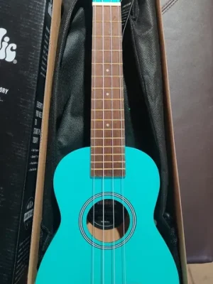 Kala Ukadelic UK-FROSTBITE - Frost Bite Soprano Ukulele, with Tote Bag "B-Stock" | Knallerpreis