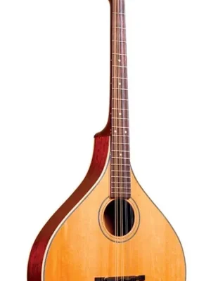 Gold Tone OM-800+ (B-Stock) - Topseller