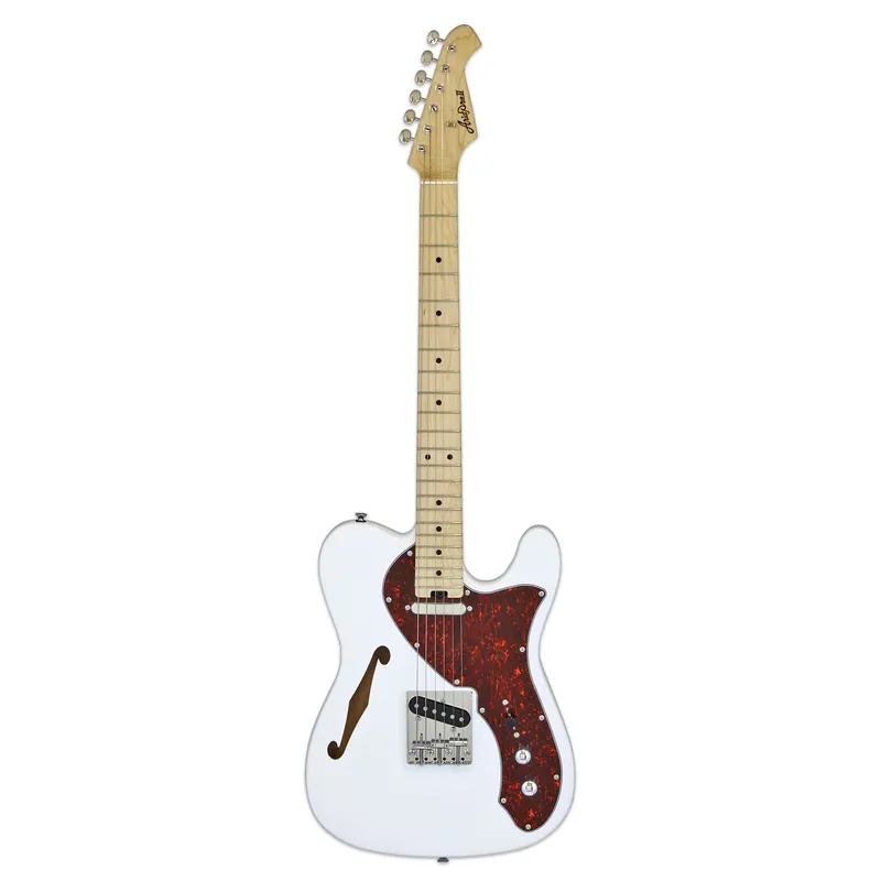 Aria TEG Thinline Telecaster, tortoise white | Nur für kurze Zeit
