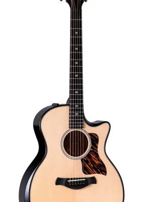 Taylor Builder‘s Edition 314ce LTD (Natural Top) | Wochenendangebot
