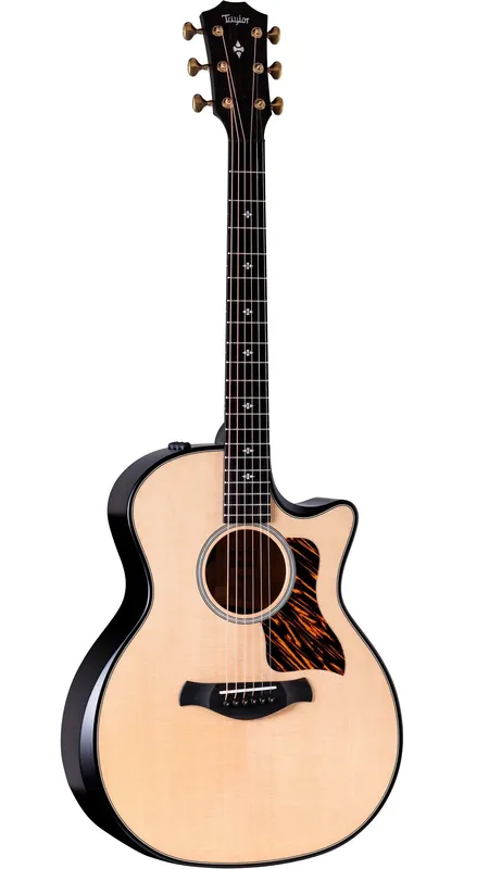 Taylor Builder‘s Edition 314ce LTD (Natural Top) | Wochenendangebot