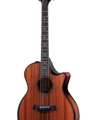 Vorteilspreis | Taylor Builder‘s Edition 914ce