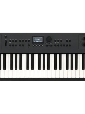 Sehr beliebt - Roland GO KEYS 5 Graphite