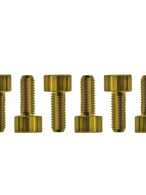 Floyd Rose FROSMSGDP - Color Stainless Steel Saddle Mounting Screws (6 pcs), Gold - Schnelle Lieferung