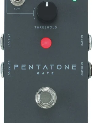 Top-Preis - Ibanez PTGATE