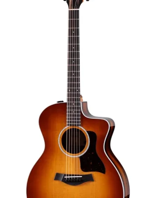 Markenqualität - Taylor 214ce African Ziricote Plus Special Edition