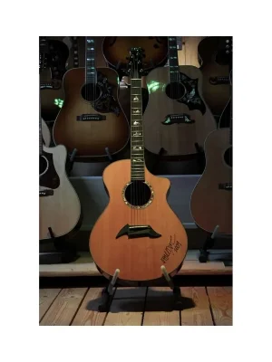 Preisvorteil | Breedlove Master Class Northwest Signature Akustikgitarre inkl. Koffer "Showroom Modell"