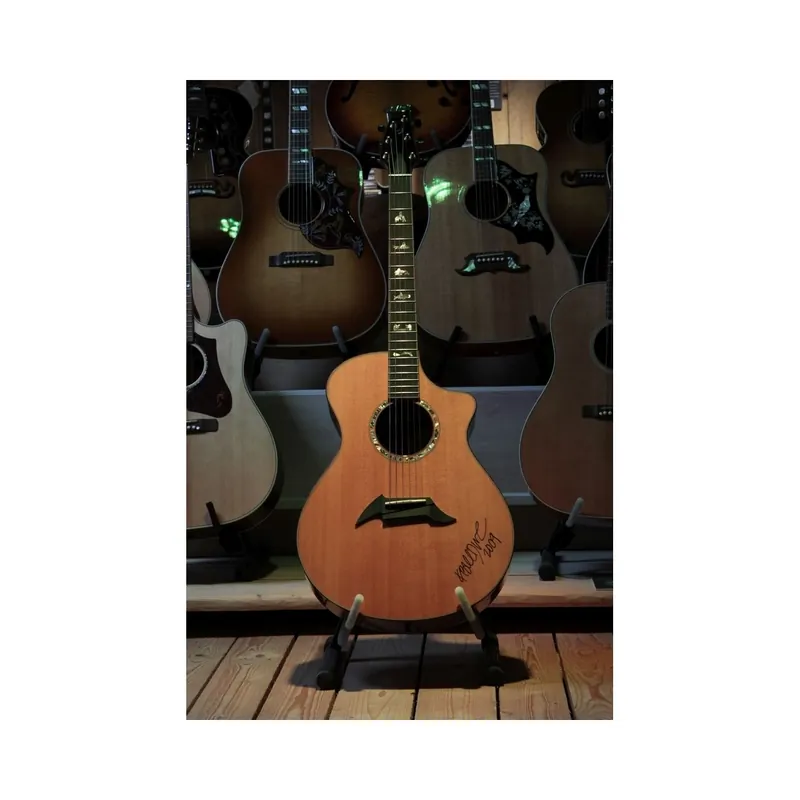 Preisvorteil | Breedlove Master Class Northwest Signature Akustikgitarre inkl. Koffer "Showroom Modell"