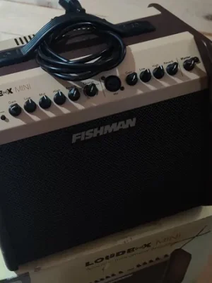 Nur solange der Vorrat reicht - Fishman Loudbox Mini Guitar Combo "B-Stock"
