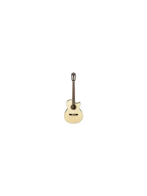Ibanez AEG10NII-NT Konzertgitarre in Natur | Letzte Chance