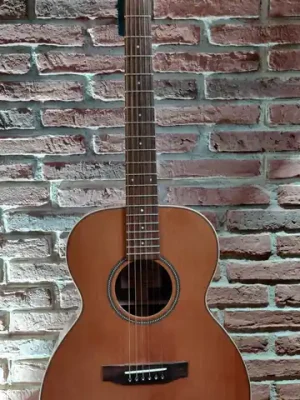 Extra-Rabatt | BSG OM 10 F Mahogany - Westerngitarre "Showroom Modell"