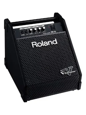 Sehr gut bewertet | Roland PM-10 Personal Monitor System