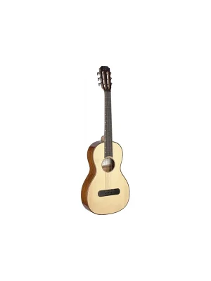 Mega-Angebot | James Neligan Lismore LIS-P Parlor Westerngitarre