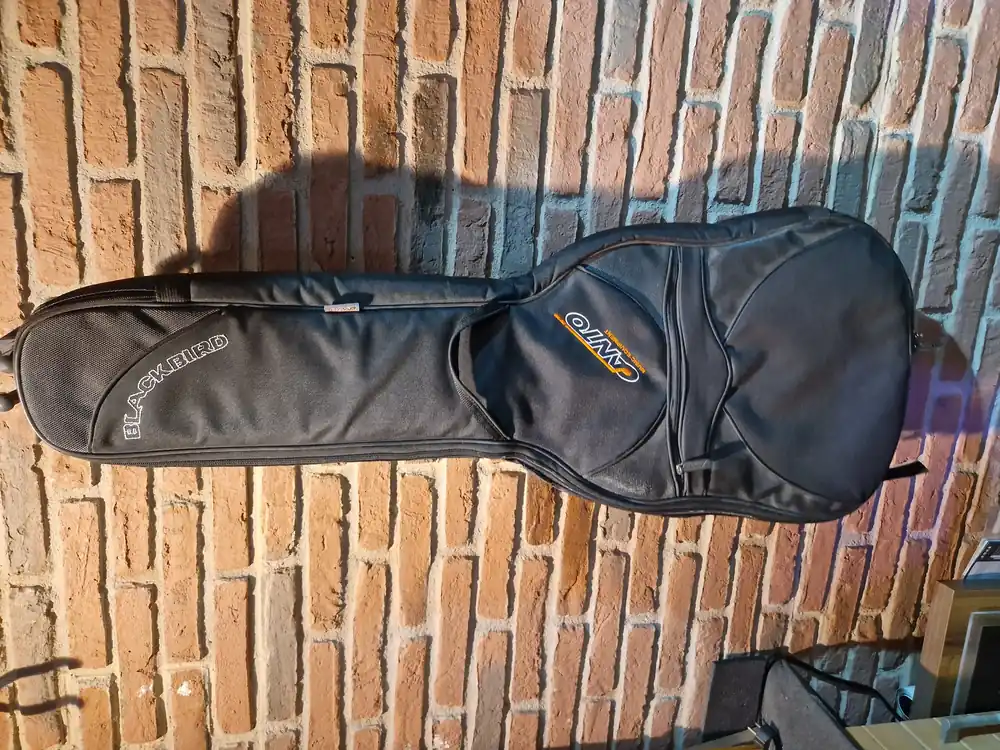 Letzte Stücke | Canto Music Equipment BBEL - E-Gitarrentasche Blackbird Series