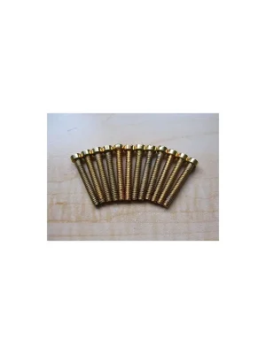 Gretsch Filtertron Pickup Pole Piece Screws, gold (12 Stück) | Bestellbar