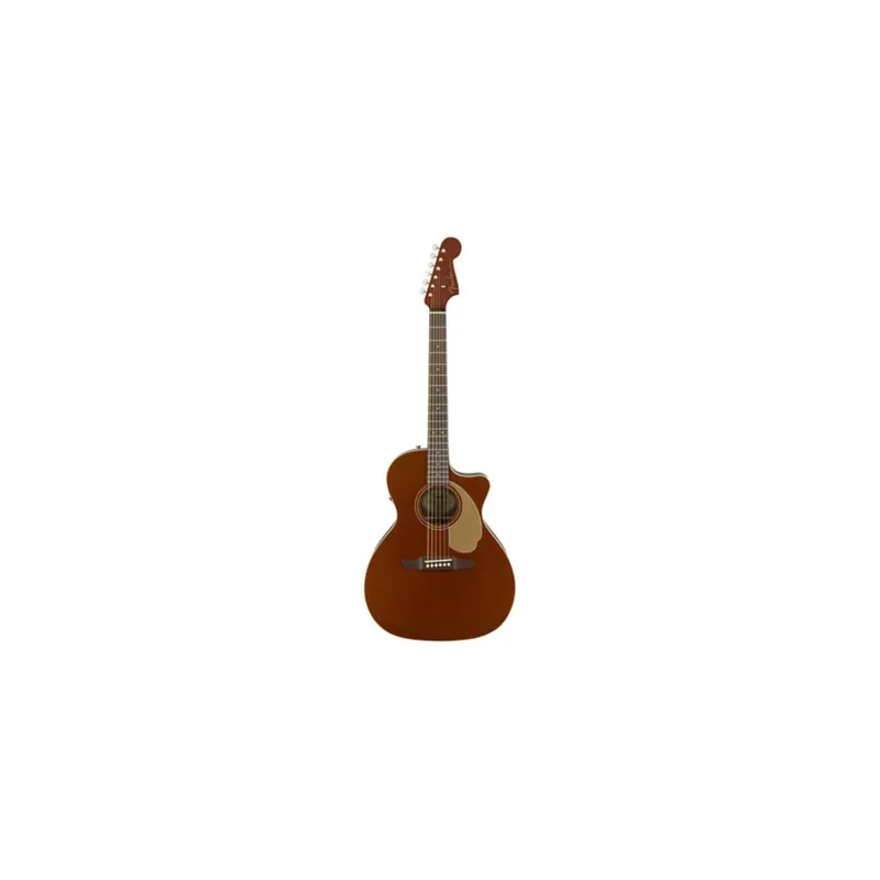 Markenqualität | Fender Newporter Player RSC - Westerngitarre