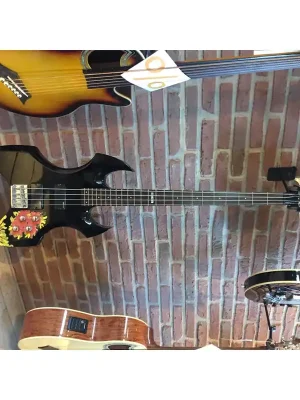 Abverkauf - ESP LTD AX-104 BLK mit Flammen- / Blümchen-Motiv ( ... wie man‘s sieht) USED