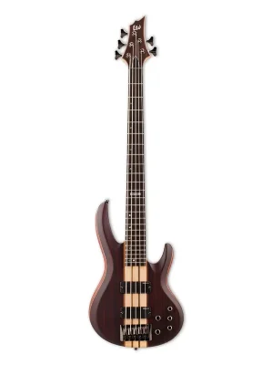 Schnelle Zustellung | ESP LTD B-5 E NS