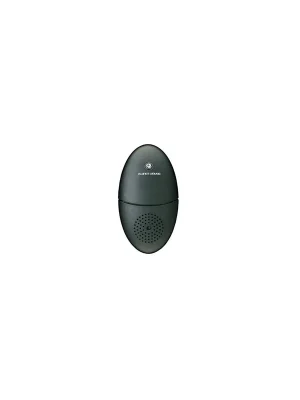 D‘addario PW-GCH Large f. Western Koffer Headliner - Kundenfavorit