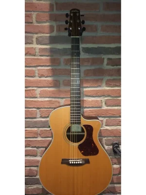 Fast ausverkauft | Walden G630CE E-Akustikgitarre in Natur