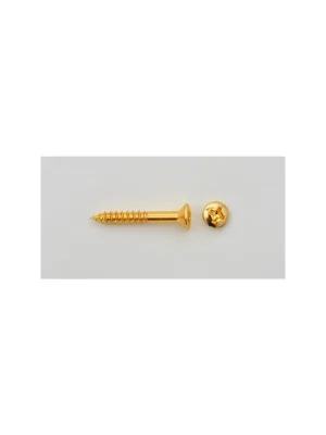 Neu | Göldo Music SR01G Steg- / Endpinschraube, 3,5 x 25 mm, gold