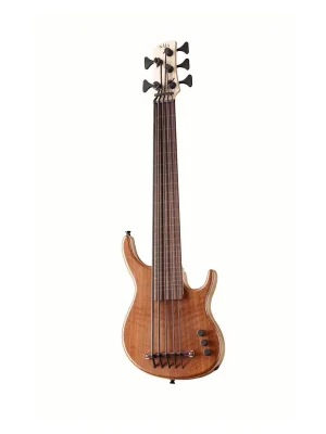 Kala Ubass California Series 5, Walnut Fretless, with a Gigbag | Sehr gefragt