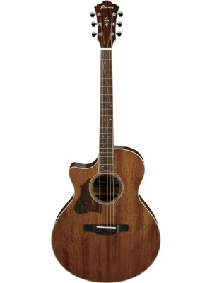 Ibanez AE245L-NT - Westerngitarre mit Tonabnehmer - Neu im Shop