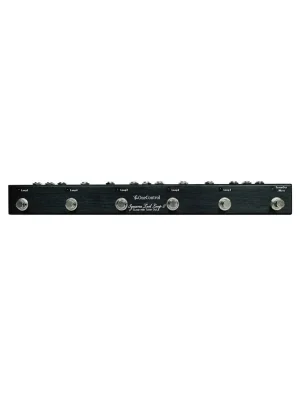 Heute bestellen - ONE Control Iguana Tail Loop2 - 5-Channel Loop Switcher