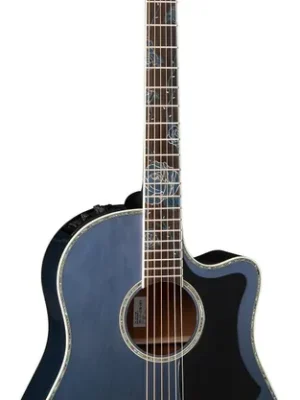 Takamine Slopeshoulder Dreadnought/C LTD 2021 - Sonderaktion