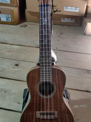 Kala KA-SA-C - All Solid Acacia Concert Ukulele with Case B-Stock | Kundenliebling