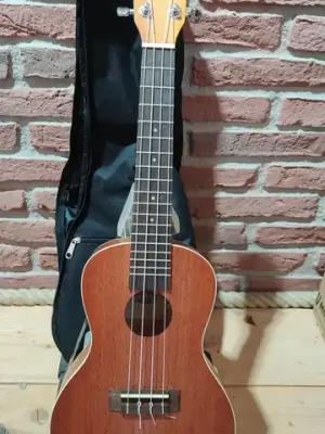 Preis gesenkt | Kala Mahogany Ply Concert Ukulele with Concert Bag (UB-C) "B-Stock"