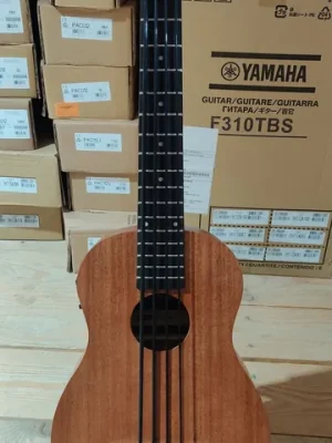 Kala U-Bass Nomad Acoustic-Electric, fretted w/ bag, "B-Stock" | Letzte Chance