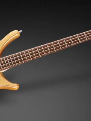 Top-Angebot - Rockbass Infinity, 4-String - Natural Transparent High Polish "B-Stock"