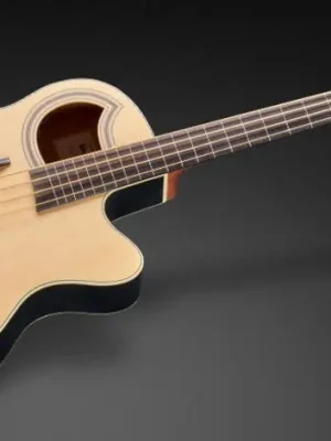 Rockbass Alien Standard, 4-String, Fretless with Lines - NTS "B-Stock" - Direkt kaufen