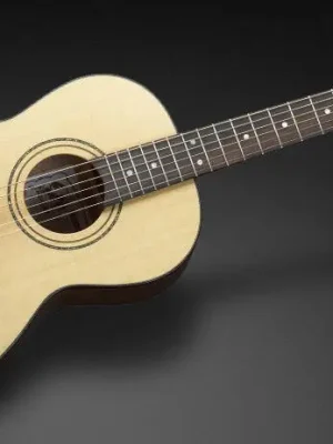 Framus Legacy Series FP 14 SV Parlor - Vintage Transparent Satin Natural Tinted - Fast ausverkauft