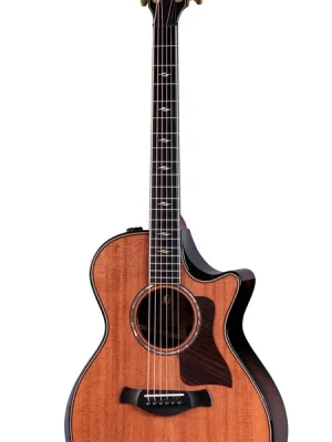 Taylor Builder‘s Edition 812ce LTD 50th Anniversary - Nur noch heute